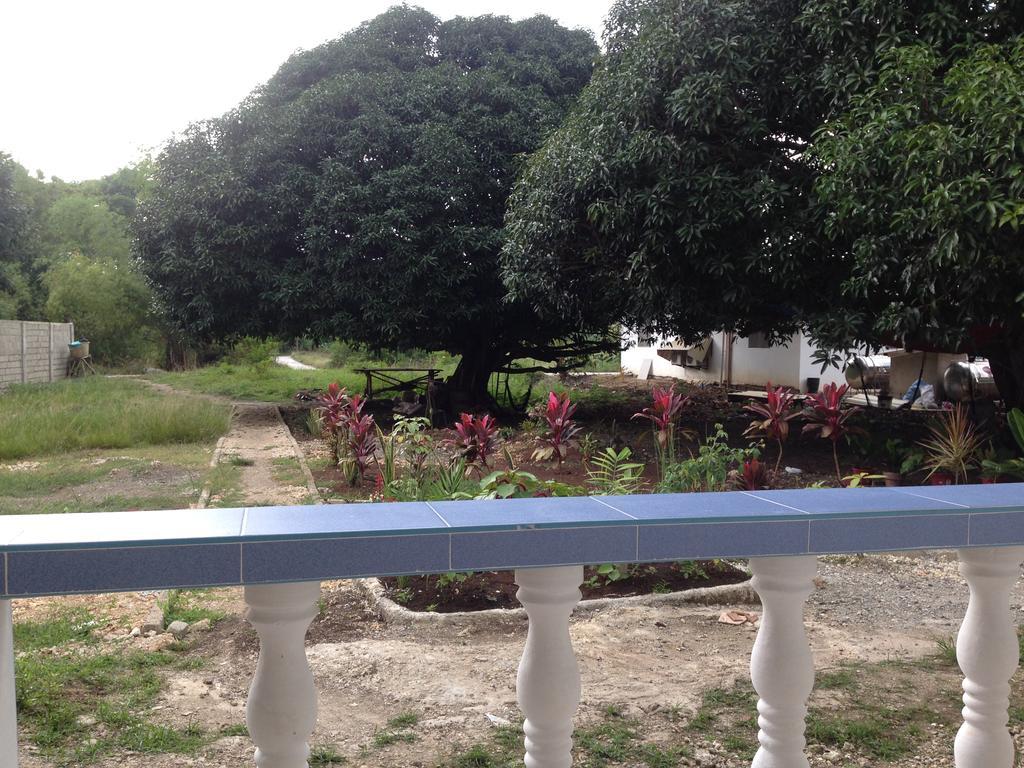Mangoes Place Moalboal Exterior photo